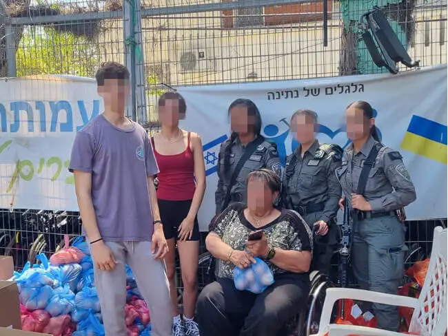 סלי מזון